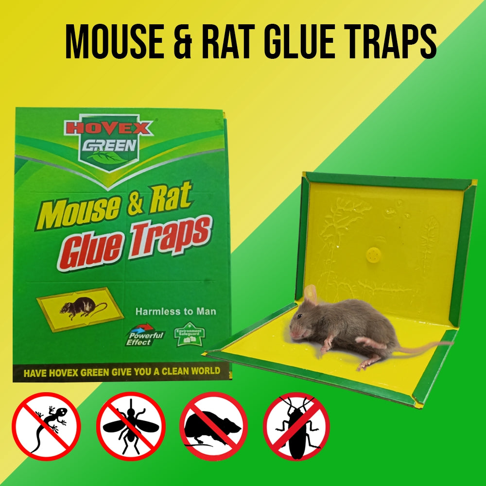 Mouse & Rat Glue Trap Board