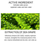 SKIN EVER Sea Grape Facial Serum
